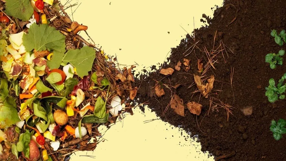 Компост: как правильно использовать для огорода, сада и растений – Полное руководство