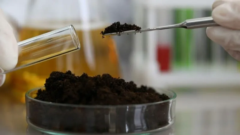 Гумат калия: что это, как применять и почему он улучшает урожайность?