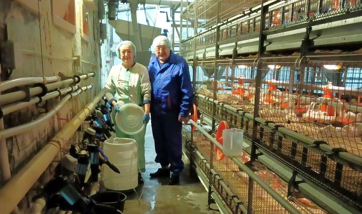 В Башкортостане запущен эксперимент по применению кормовой добавки «Экобиосфера» в птицеводстве