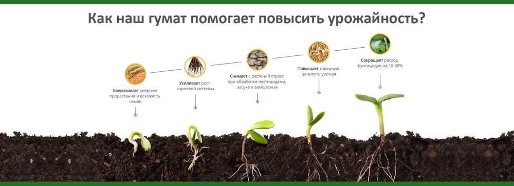 гумат повышает урожайность гумат повышает урожайность