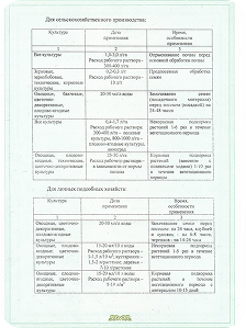 Сертификат 2