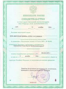 Сертификат 1